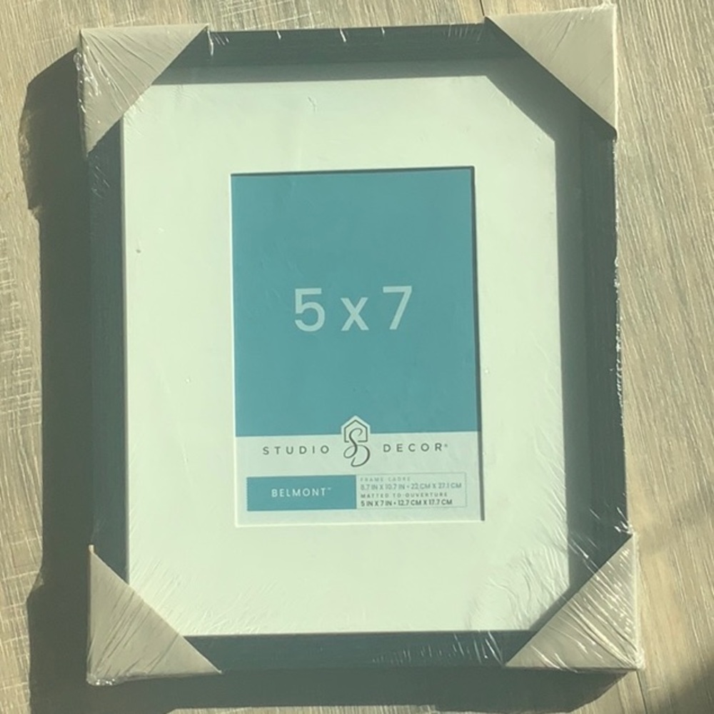 Wall Hung Picture Frame.  NWT
